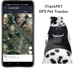 Mini Pet Spotter Waterproof Rechargeable GSM GPS Dog Collars Tracker Size:XL